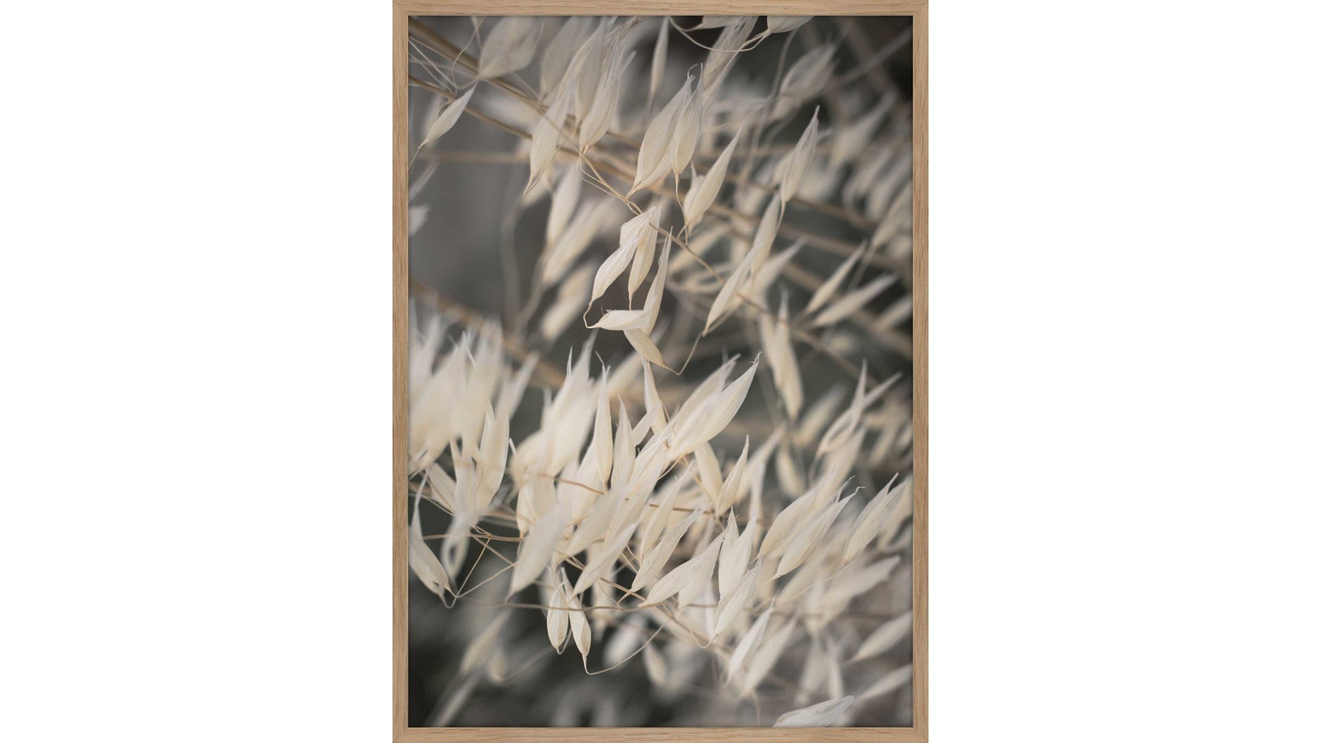 Kunstdruck Interliving BEST BUDDYS! aus Holz in Grau Interliving BEST BUDDYS! Posterdruck Mellow Grasses 4 bedrucktes Holz & Eiche – ca. 50 x 70 cm