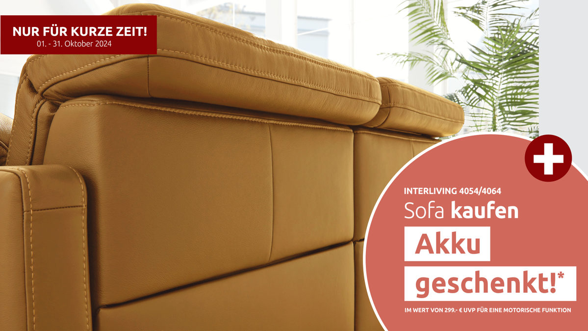 Mehrpreis Interliving aus Leder in Transparent Interliving Sofa Serie 4054 – Mehrpreis 2,5-Sitzer Lederrücken Lederbezug Credo