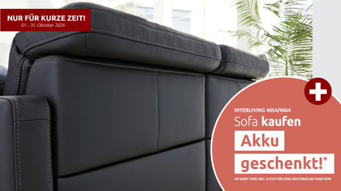 Mehrpreis Interliving aus Leder in Transparent Interliving Sofa Serie 4054 – Mehrpreis Dreisitzer Lederrücken Lederbezug Credo